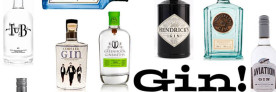 Gin is In!